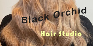 Black Orchid Hair Prices