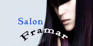 Framar Salon Prices