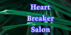 Heart Breaker Salon Prices